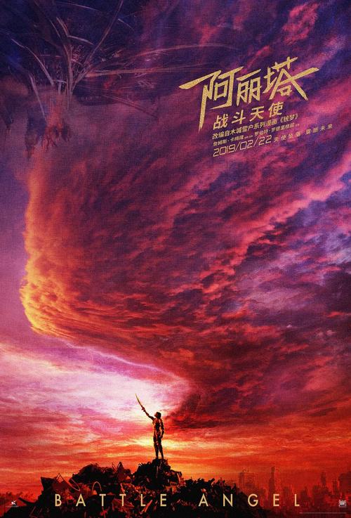 高仿爱尔兰身份证印度护照模板怎么买假的